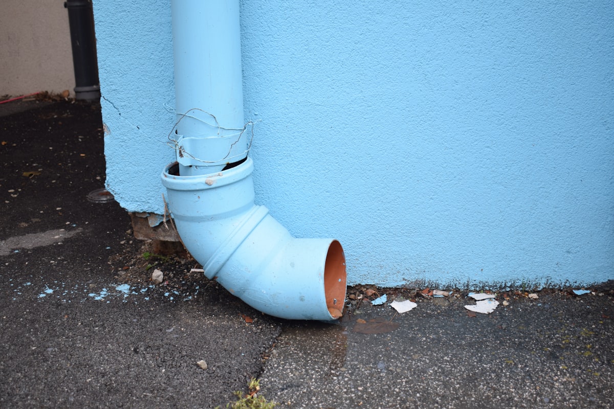 Mold Remediation service in Palm Beach Gardens, FL