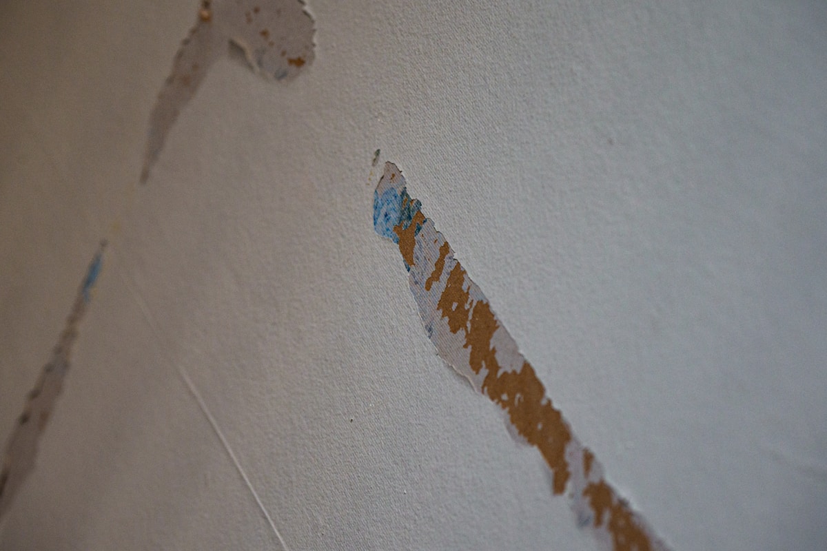 Storm Damage Repair service in Palm Beach Gardens, FL